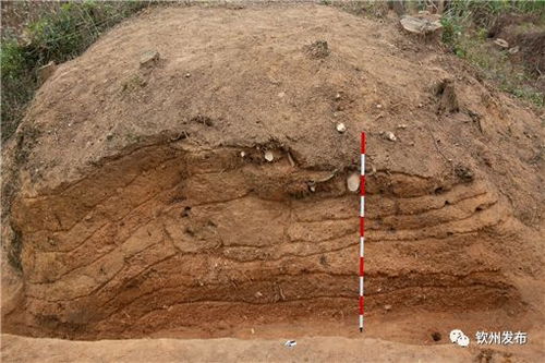 朝向与采光的光学考量