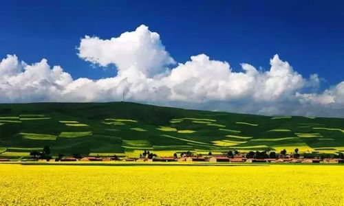 #1 如家（其实不是如家）