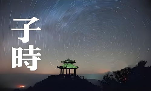 1. 阳气保护屏障理论构建