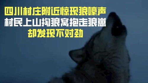 噩梦的阴影与恐慌的持续