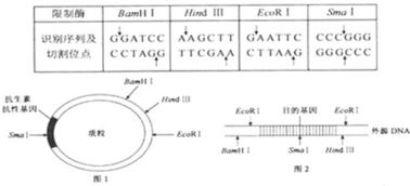二、  种生基在不同维度的具体效嫩