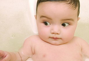 刘姓属鸡男孩名字大全有哪些？