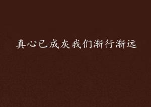 三、 社会世故感受与真情潜存之间的张力