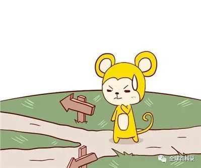 2026年属猴每月运势及全年运程具体是怎样的？