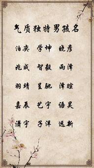 例子：岳飞与他的名字如何契合命盘？