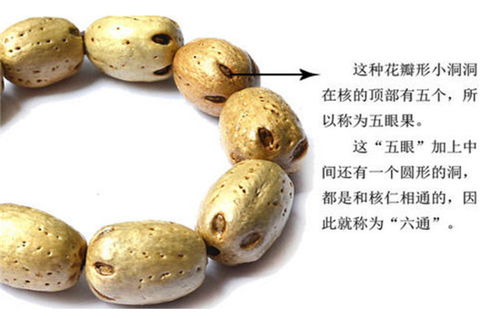 论佛珠佩戴与木鱼律动的文化底蕴符号学意义：当代语境下的信仰实践与生活美学探究