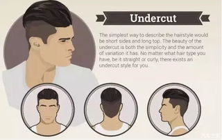 理论框架与文献综述