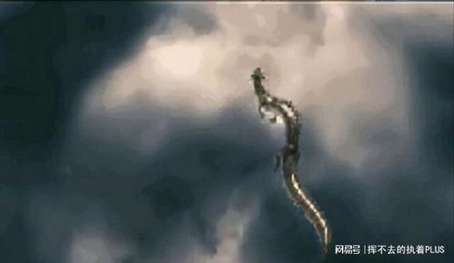 （一）人物与情境概述