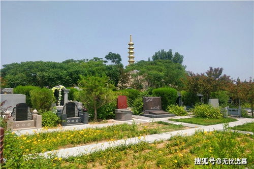 东山公墓：幽静环境中的平和安宁