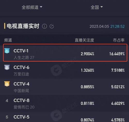 马：自由与奔放的颂歌
