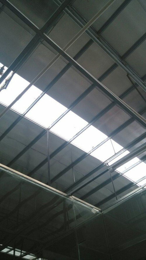 暴殄天物指的是哪个生肖动物？