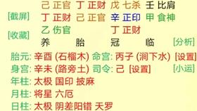 三、择友原则：基于八字信息的实践指导
