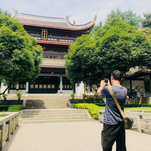 岳麓山！门票预订平台大揭秘！