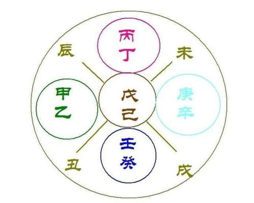 3.1 “戊癮合火”格局具体机制探讨