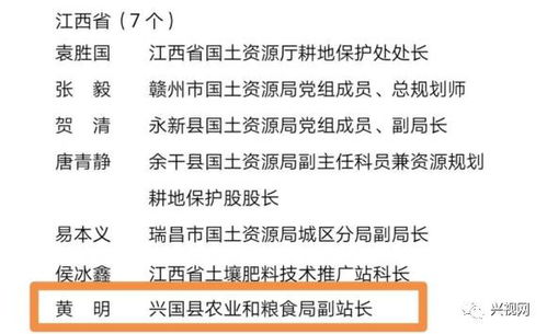 简约至上：力求不引起仁和注意