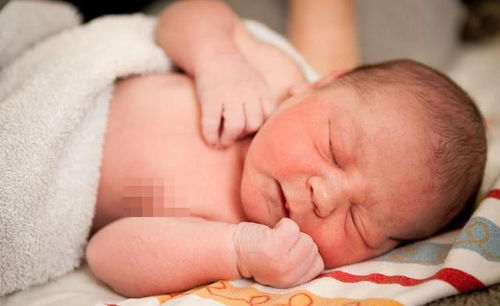 挖掘家族历史：传承文化的责任