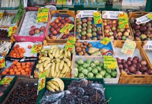 第三步：测试与筛选 (以及我的内心挣扎)