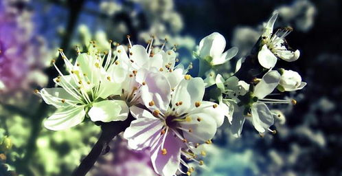 10月上旬，哪个生肖贵人运好，钱运亨通，一辈子有福有喜？