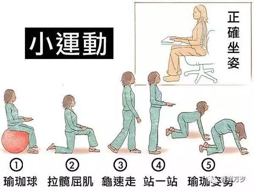 1. 能量代谢失衡与痰湿积聚（肥胖问题）