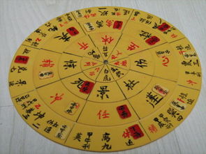 (一) 理论层面的差异化表现