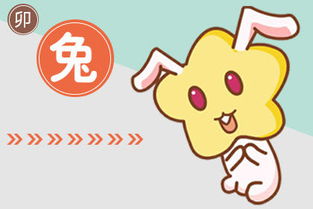 属兔射手座2026年爱情运势如何，属兔射手座命运会怎样？