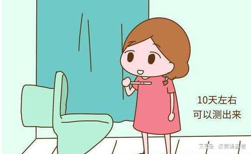 排卵期是关键：精准定位受精窗口