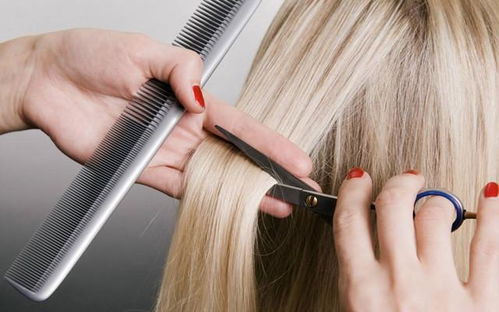 2026年1月和8月分别有哪些吉日适合剪头发呢？