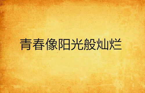 一、 探究背景与意义