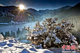 三、服务？比冰山还冷