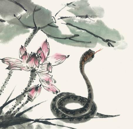 属蛇人2026年多少岁？属蛇2026年佩戴饰物有何寓意？