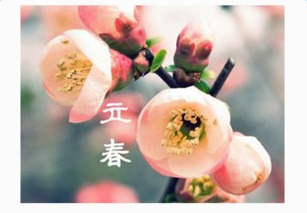 立春的习俗和活动：对自然敬畏与美好祈愿的交织