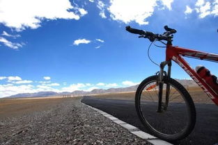 单车维修的血泪史与技术性崩溃