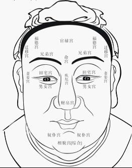 五官辨析：邪正与真伪的生理映射