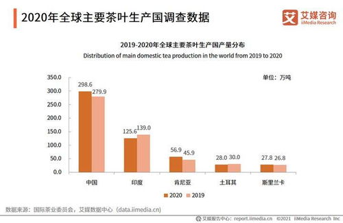 纪录验证机制与媒体平台传播效应解析