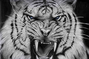 （一）正西方——白虎凶位