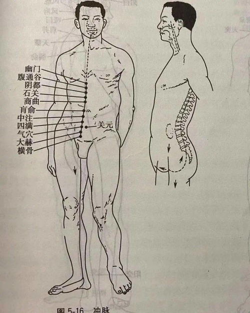 达摩简单筋经的修行原理与养生机制
