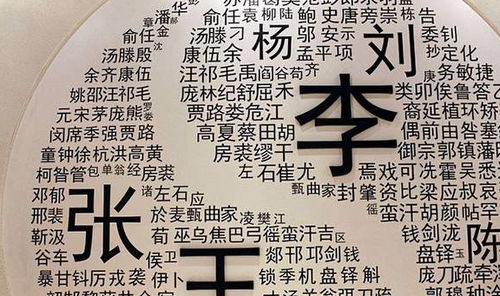 2025年10月23日董氏宝宝取名，有哪些宜用字能够精选？