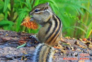 名字的结构：别太绕弯子