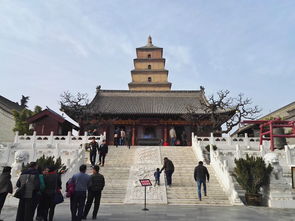 大雁塔与小雁塔—双塔对决