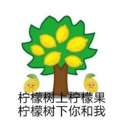 二、星座特质与嫉妒行为模式探究