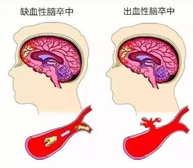 四、结论:沉重崭新审视传统方式信仰实际价值维度