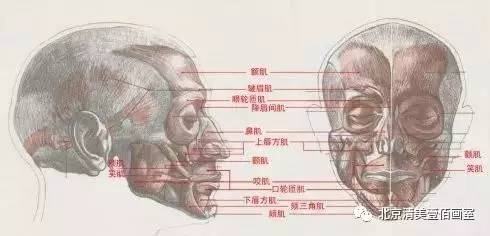 “大薄”与“小尖”：语言表达与人际关系的隐喻