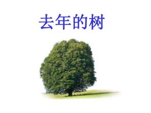 较小树哭泣的原因解析