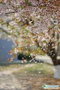 抢票大战：比春运还刺激