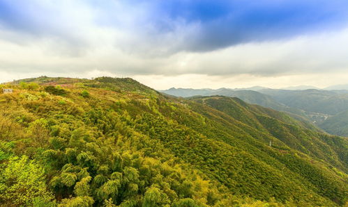 帽儿山门票：一场闹心的“省钱”之旅