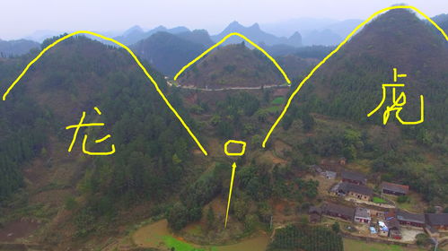 虎地风水的具体形态与格局特征