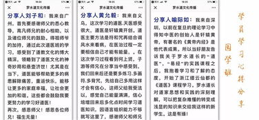 借鉴成功案例：启示与反思