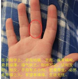 一、 小指在手相学中的象征意义及其对家族兴旺的影响