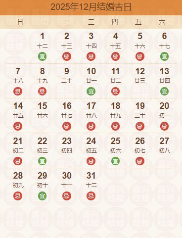 （二） 2025年09月26日：平地木之稳固与生机
