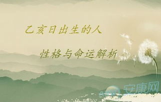 乙亥日乙亥时出生的人命运如何，这个时辰的命理好吗？